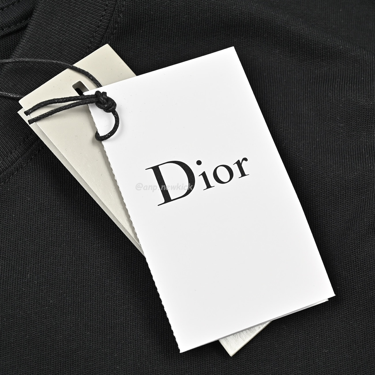 Dior 24ss Pin Logo Contrasting Embroidered Short Sleeved T Shirt (7) - newkick.vip